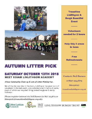 Litter pick