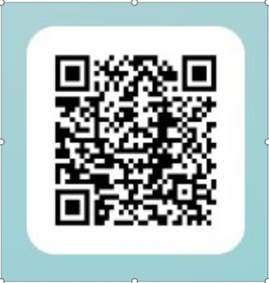 LinVinted QR Code